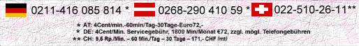 Preisauszeichnung für Telefonsex 